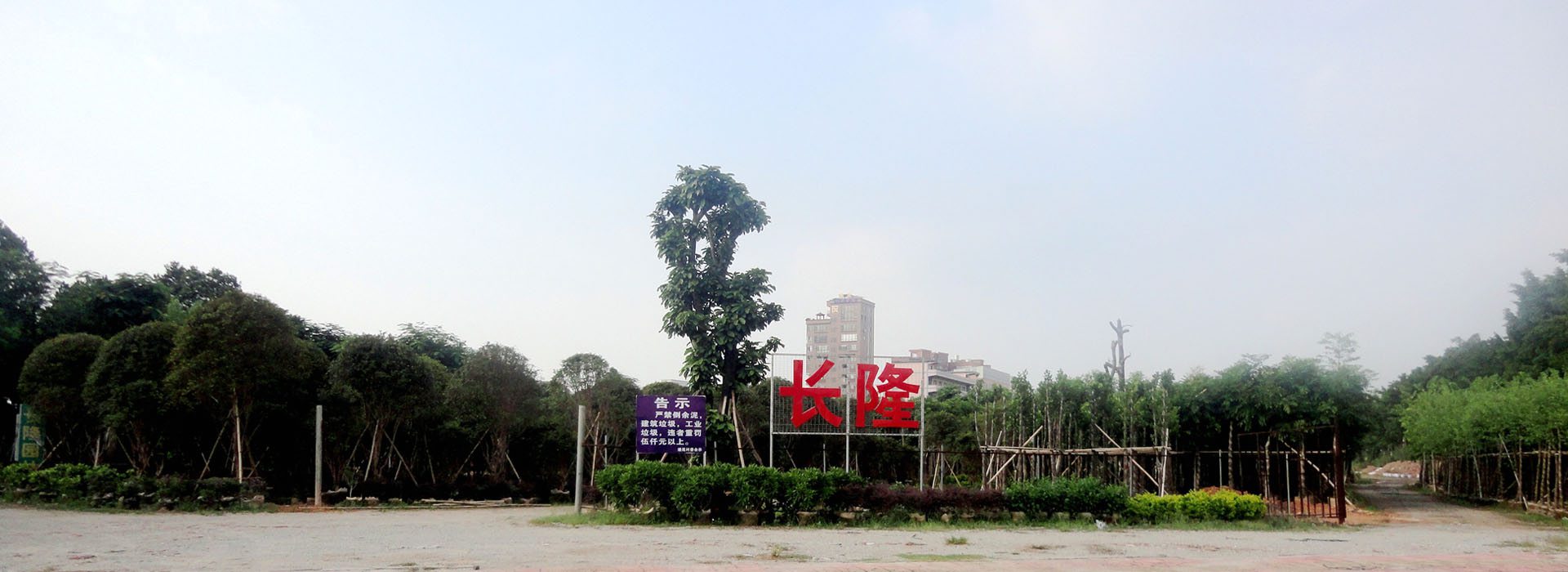 專業(yè)的綠化養(yǎng)護(hù)團(tuán)隊